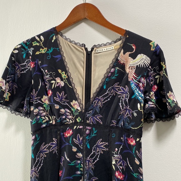 Alice + Olivia Amara Floral Bird Print Lace Trim Dress, Size 0 - Picture 4 of 12